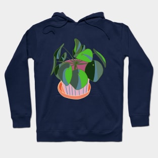 Pilea Hoodie